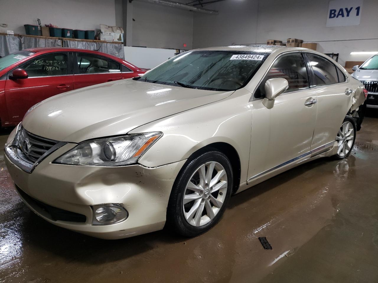 2011 Lexus ES VIN JTHBK1EG6B2466245