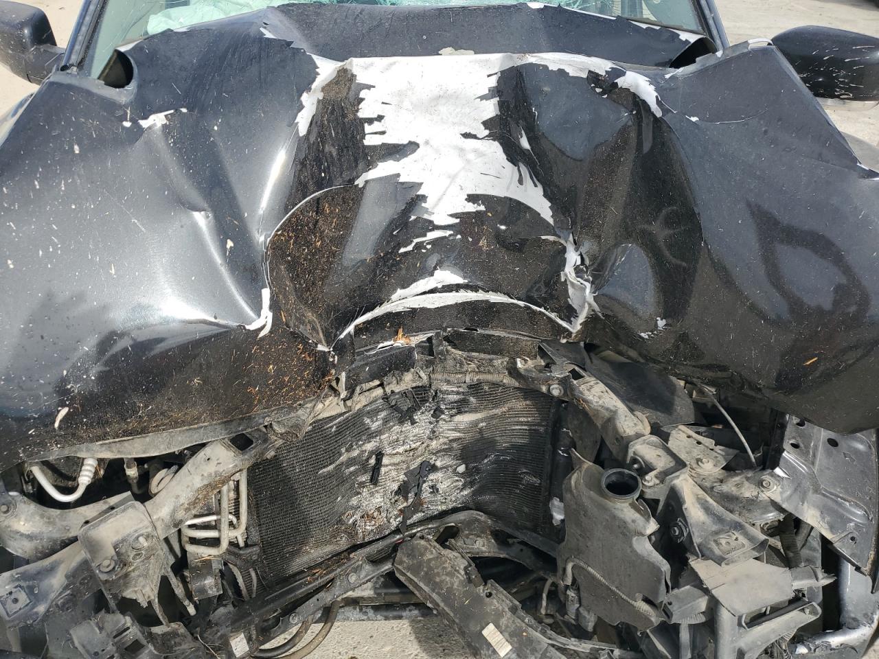 2016 RAM 1500 VIN 1C6RR6MT7GS278548 Copart auction photo, front end damage thumbnail 12