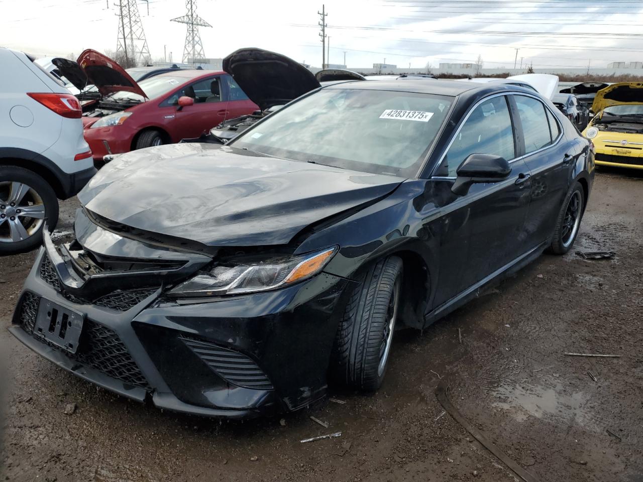 2019 Toyota Camry VIN 4T1B11HKXKU184341