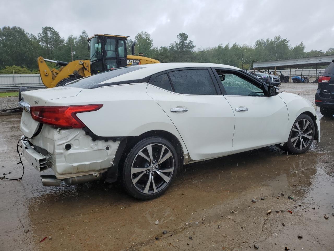 2017 Nissan Maxima VIN 1N4AA6AP0HC435374 Copart auction photo, side / all over damage thumbnail 3
