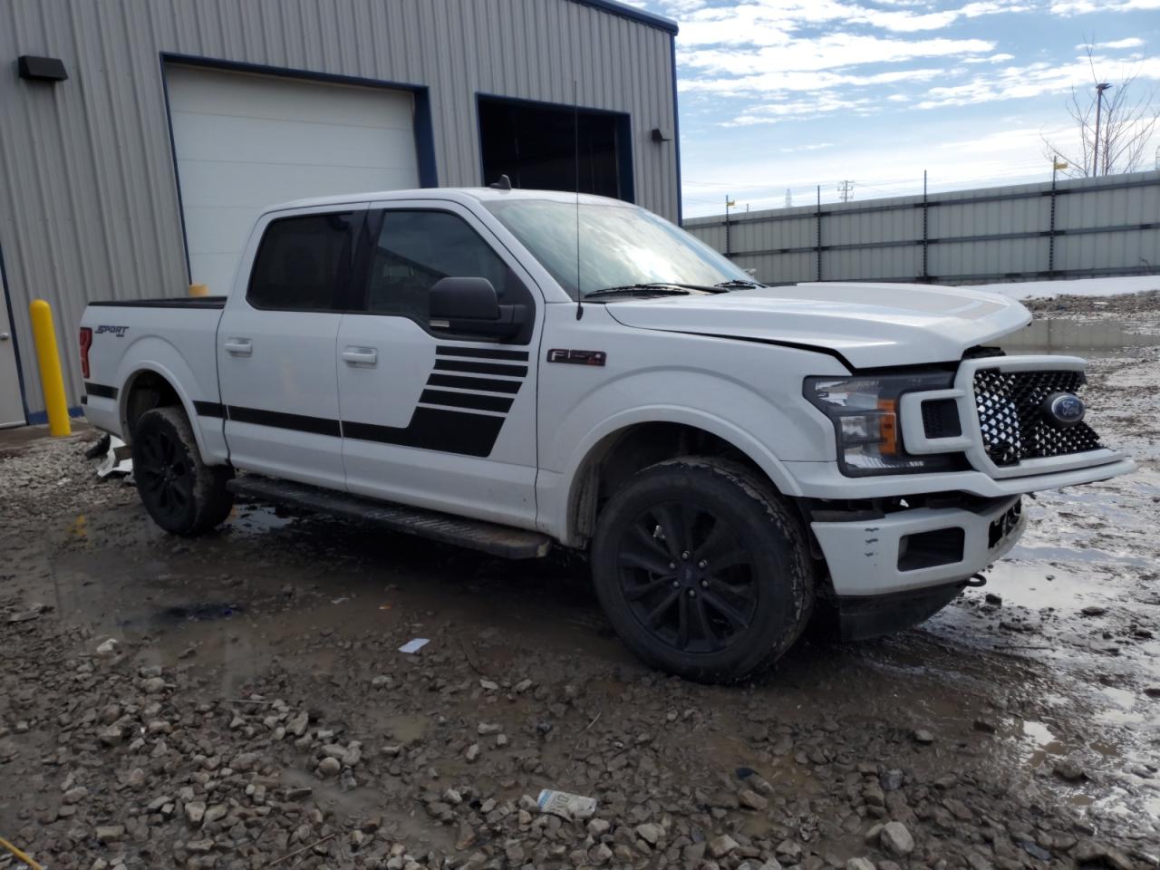 2020 Ford F-150 VIN 1FTEW1EP5LFC81567 Copart auction photo, front end damage thumbnail 4