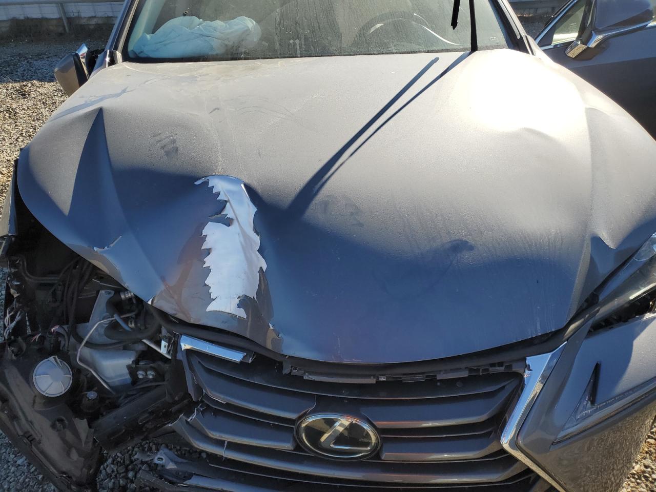 2015 Lexus NX VIN JTJYARBZ6F2016455 Copart auction photo, front end / side damage thumbnail 13