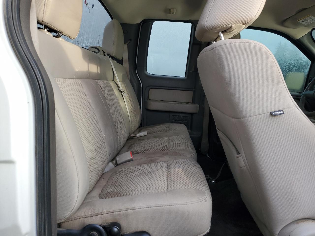 2010 Ford F-150 VIN 1FTVX1EV6AKE71832 Copart auction photo, rear end damage thumbnail 10