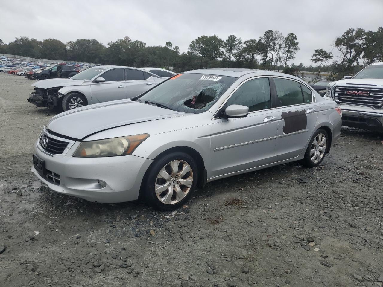 2009 Honda Accord VIN 1HGCP36829A033534