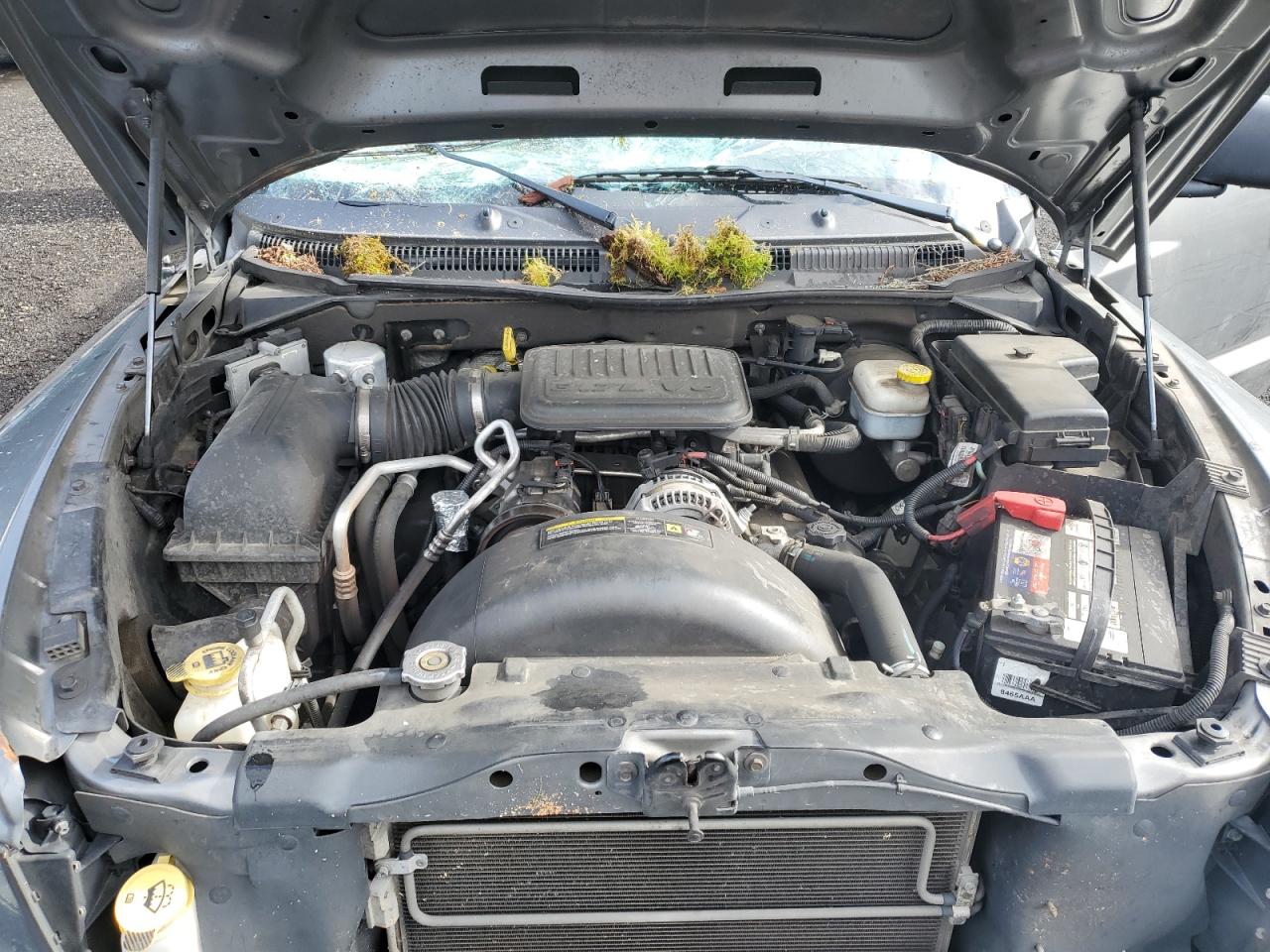2010 Dodge Dakota VIN 1D7CW3GK4AS230530 Copart auction photo, top/roof / front end damage thumbnail 11