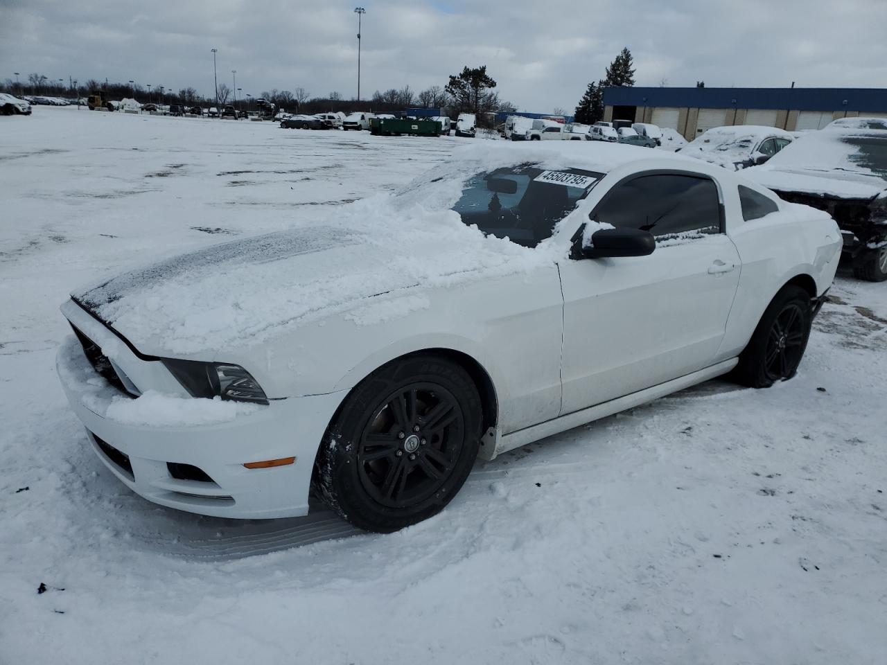 2014 Ford Mustang VIN 1ZVBP8AM6E5284049