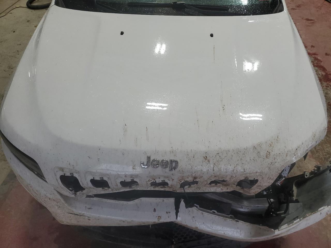 2019 Jeep Grand Cherokee VIN 1C4PJMLB1KD413430 Copart auction photo, front end damage thumbnail 12