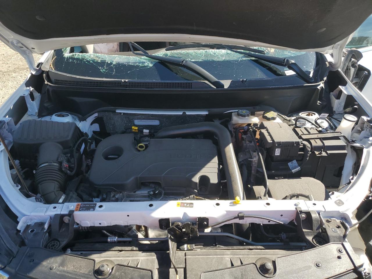 2023 Chevrolet Equinox VIN 3GNAXKEG7PS186518 Copart auction photo, side / front end damage thumbnail 13