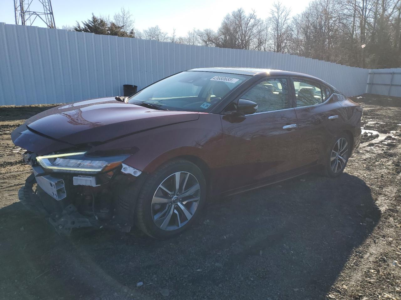 2020 Nissan Maxima VIN 1N4AA6DV7LC371188