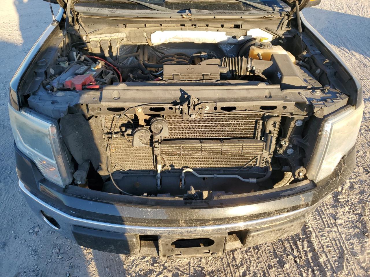 2014 Ford F-150 VIN 1FTFW1CF5EKF61059 Copart auction photo, front end damage thumbnail 11