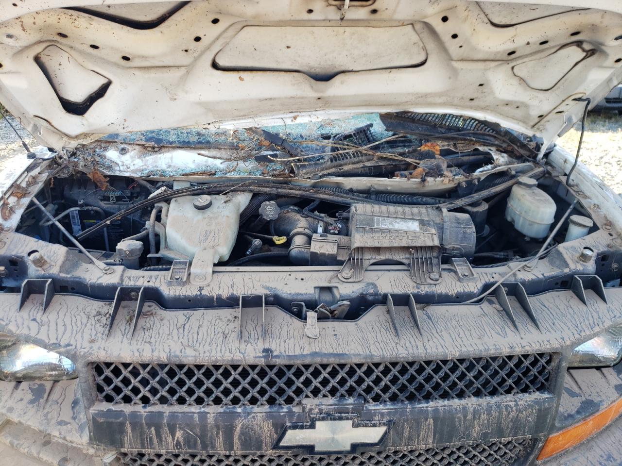 2009 Chevrolet Express VIN 1GCGG25C191148125 Copart auction photo, water/flood / top/roof damage thumbnail 12
