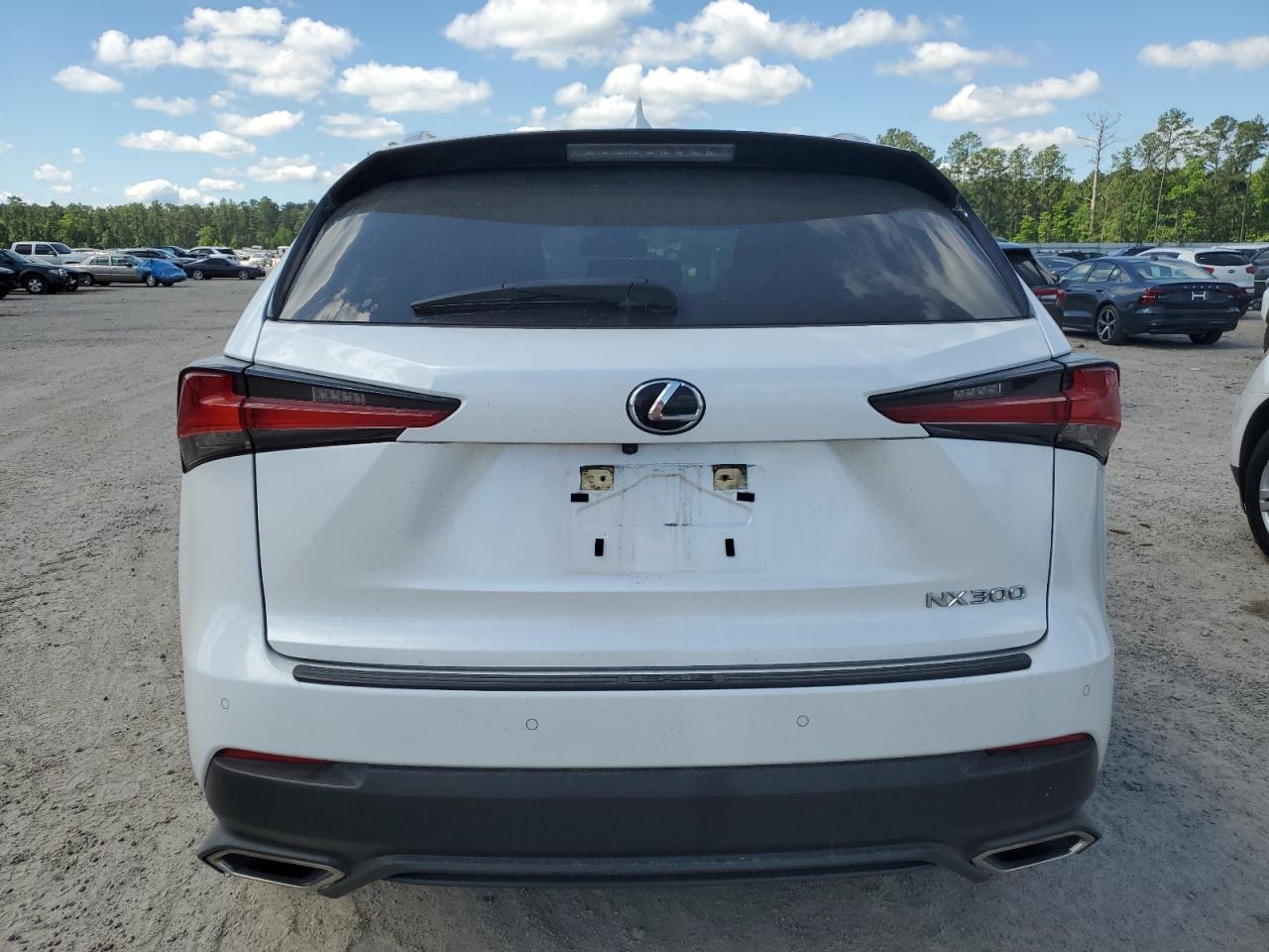 2021 Lexus NX VIN JTJDARBZ9M5030814 Copart auction photo, side damage thumbnail 6
