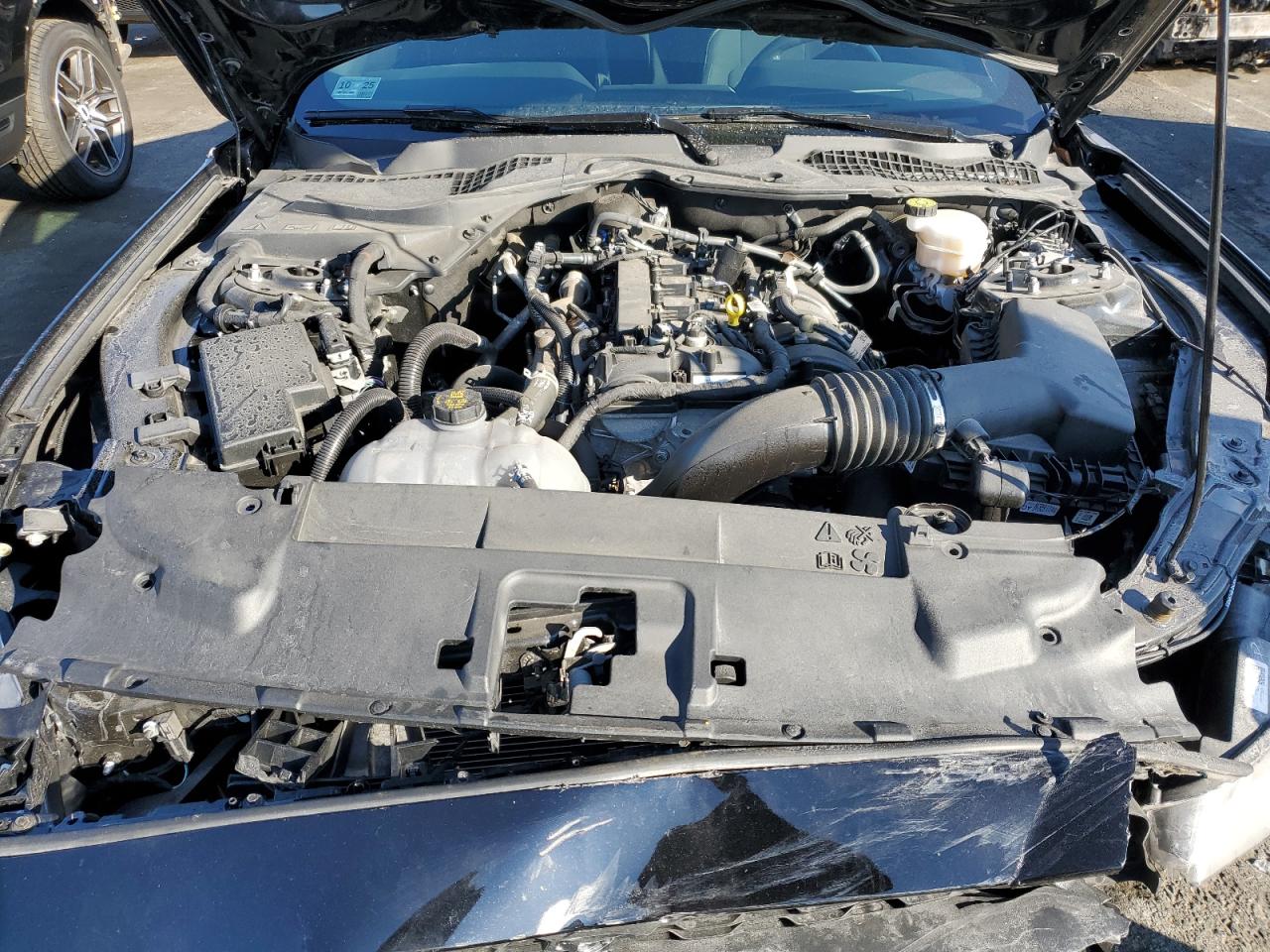 2021 Ford Mustang VIN 1FA6P8TH1M5117770 Copart auction photo, front end / minor dent/scratches damage thumbnail 13
