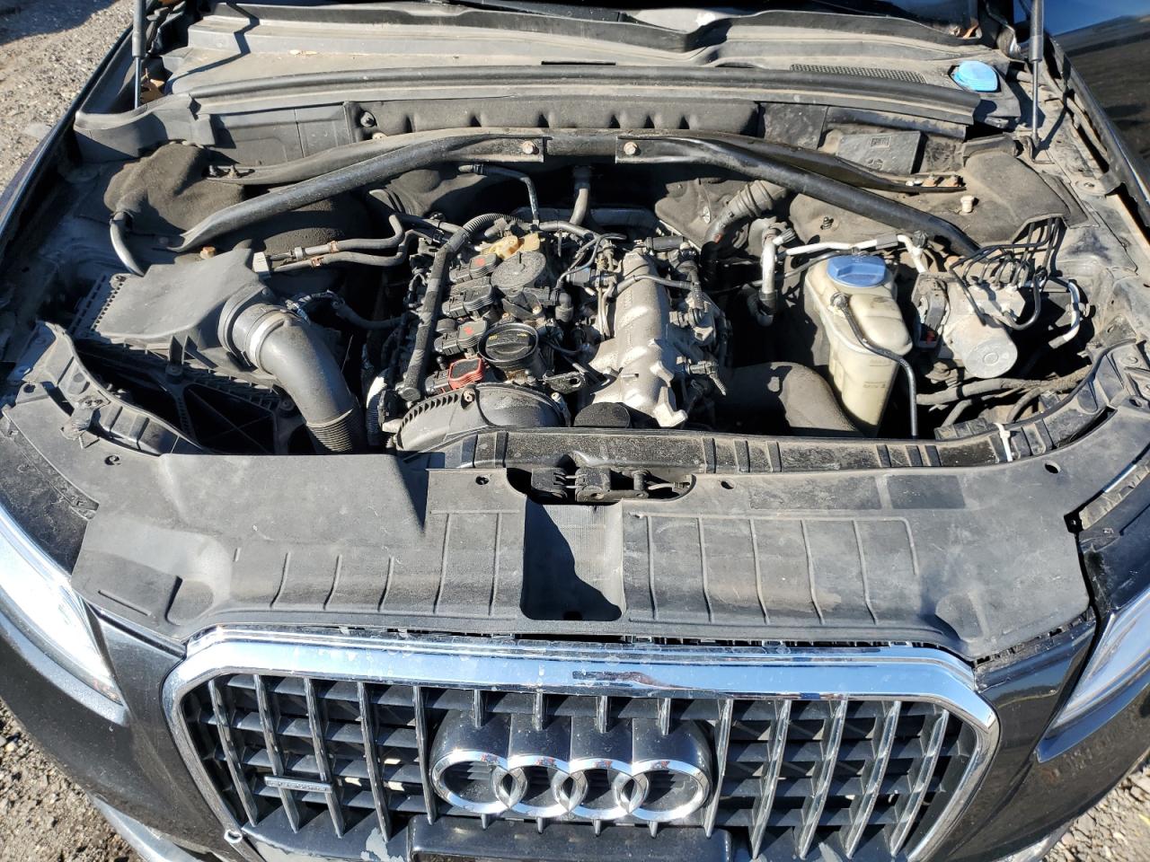 2014 Audi Q5 VIN WA1LFAFP0EA049992 Copart auction photo, front end / rear end damage thumbnail 12