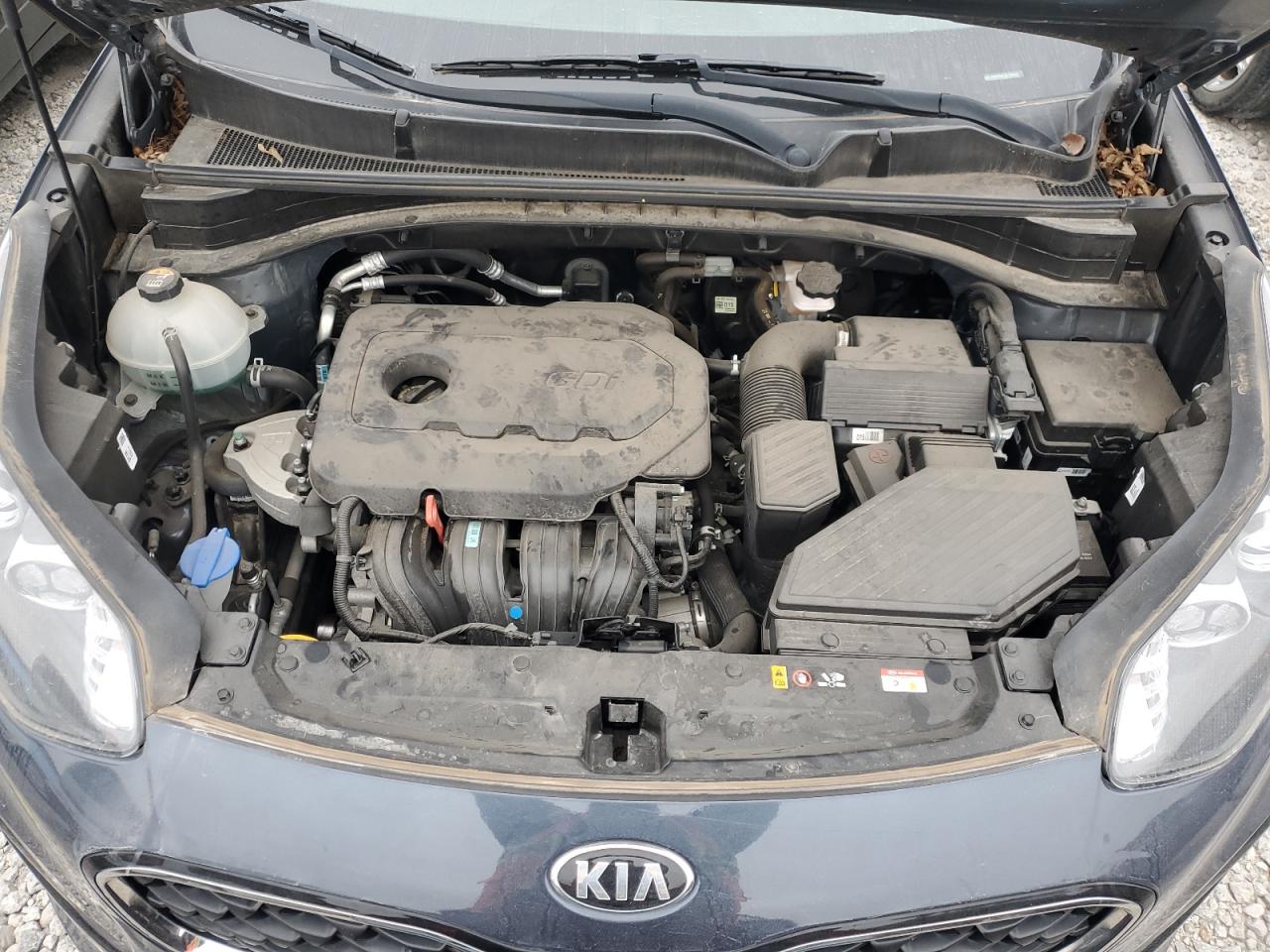 2020 KIA Sportage VIN KNDPM3ACXL7769422 Copart auction photo, side damage thumbnail 14