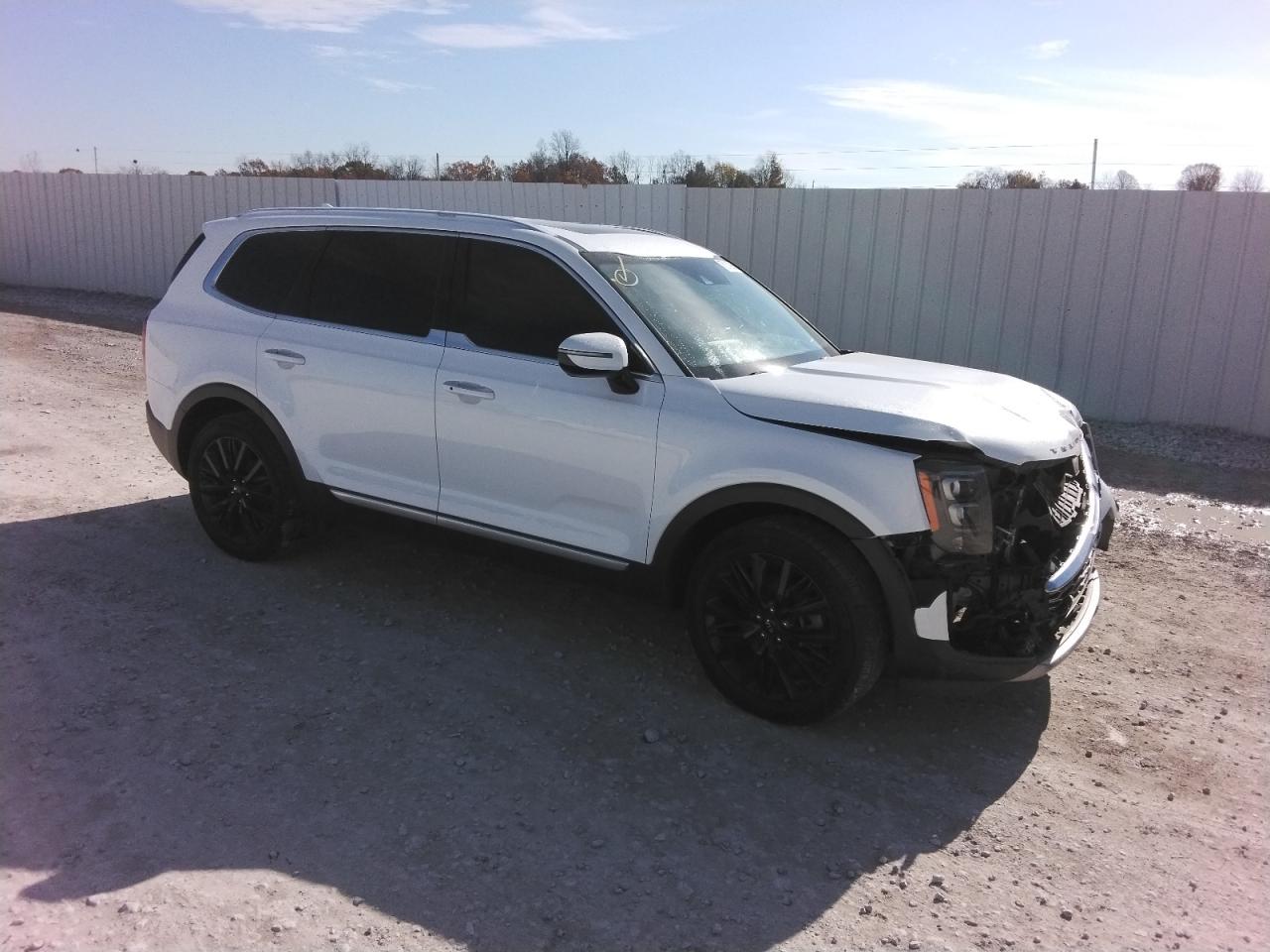 2020 KIA Telluride VIN 5XYP5DHC9LG014810 Copart auction photo, front end damage thumbnail 4