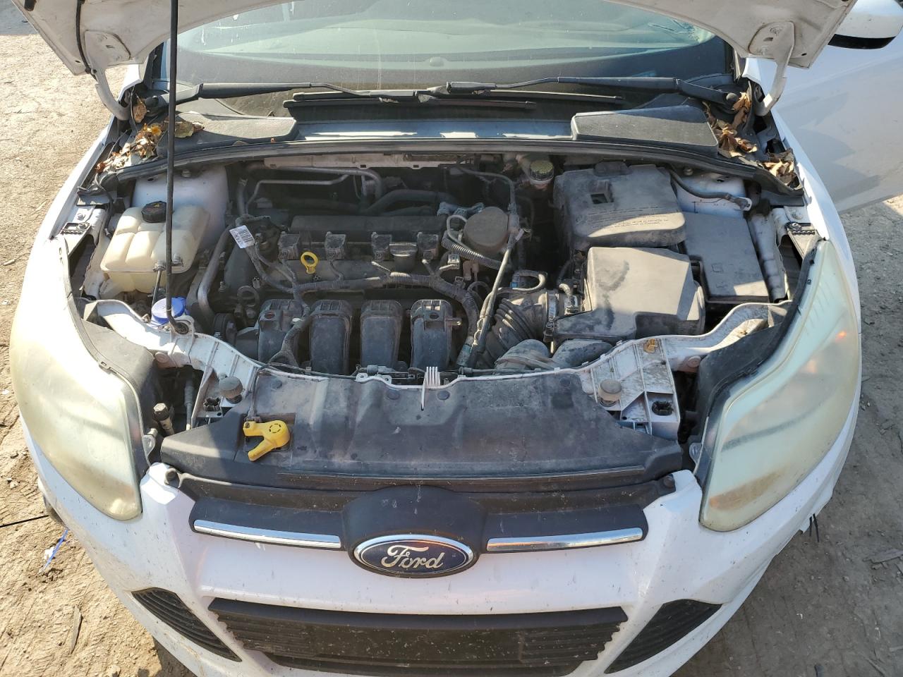 2012 Ford Focus VIN 1FAHP3F21CL207448 Copart auction photo, front end / rear end damage thumbnail 11