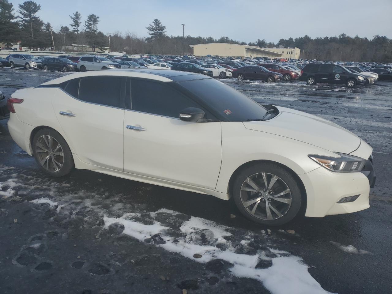 2016 Nissan Maxima VIN 1N4AA6AP6GC376779 Copart auction photo, side / minor dent/scratches damage thumbnail 4