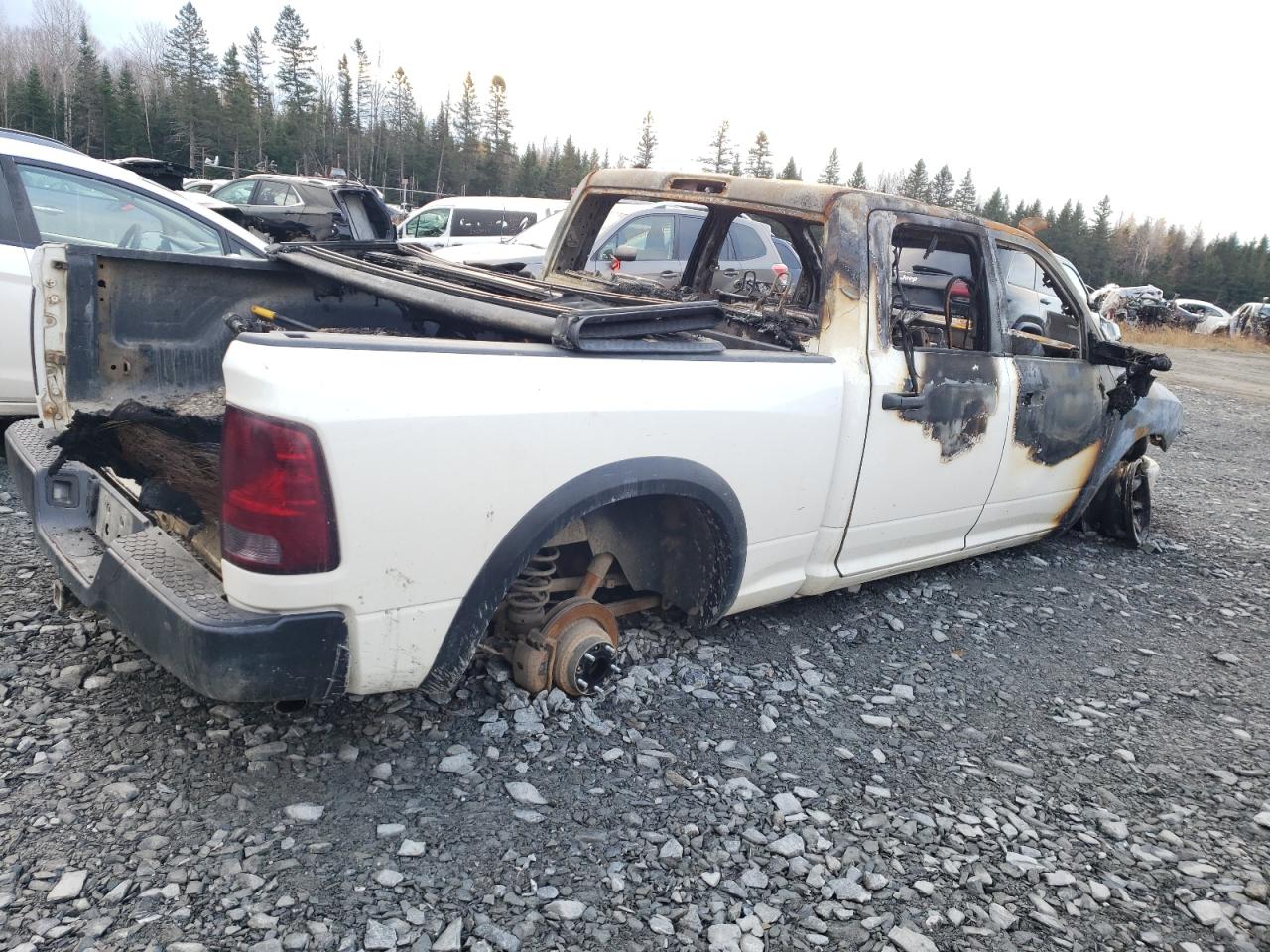 2015 RAM 1500 VIN 1C6RR7TM8FS683879 Copart auction photo, burn damage thumbnail 3