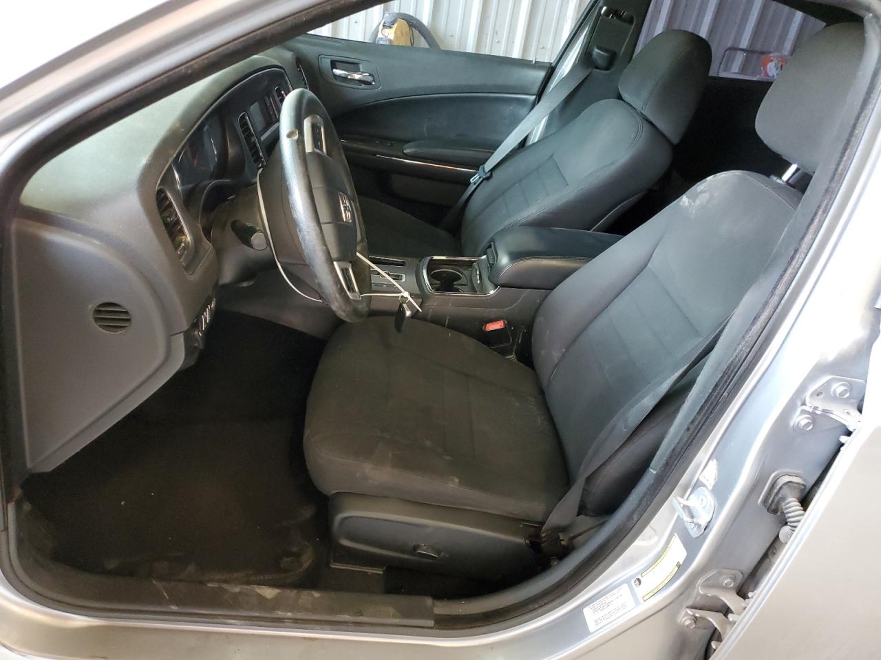 2014 Dodge Charger VIN 2C3CDXBG3EH240798 Copart auction photo, side / hail damage thumbnail 7