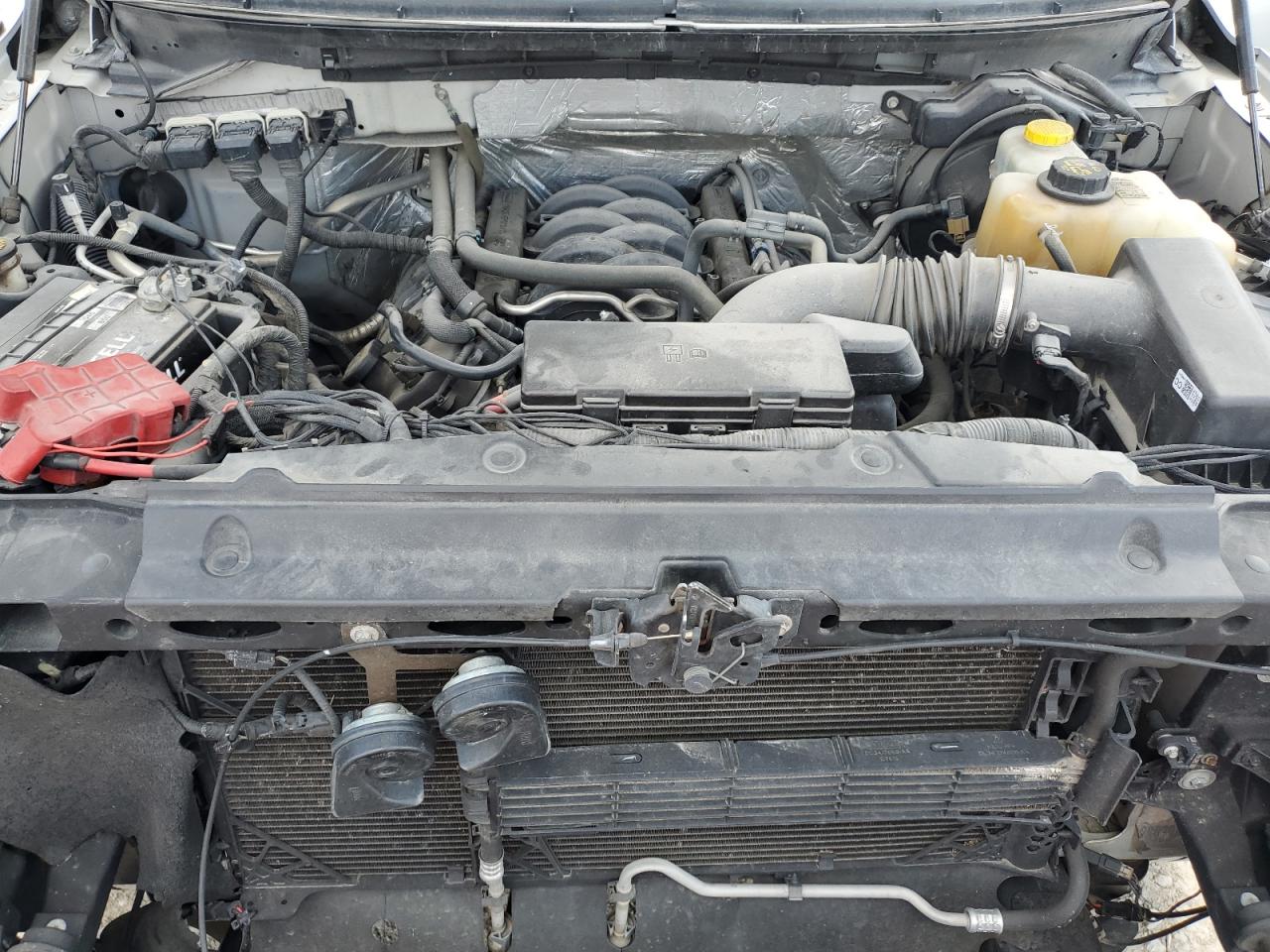 2014 Ford F-150 VIN 1FTFX1EF8EFC66959 Copart auction photo, rollover damage thumbnail 11