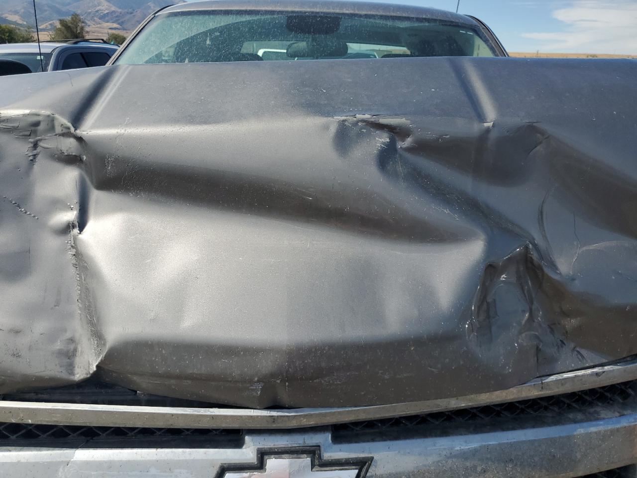 2009 Chevrolet Silverado VIN 3GCEK13349G169572 Copart auction photo, front end damage thumbnail 12