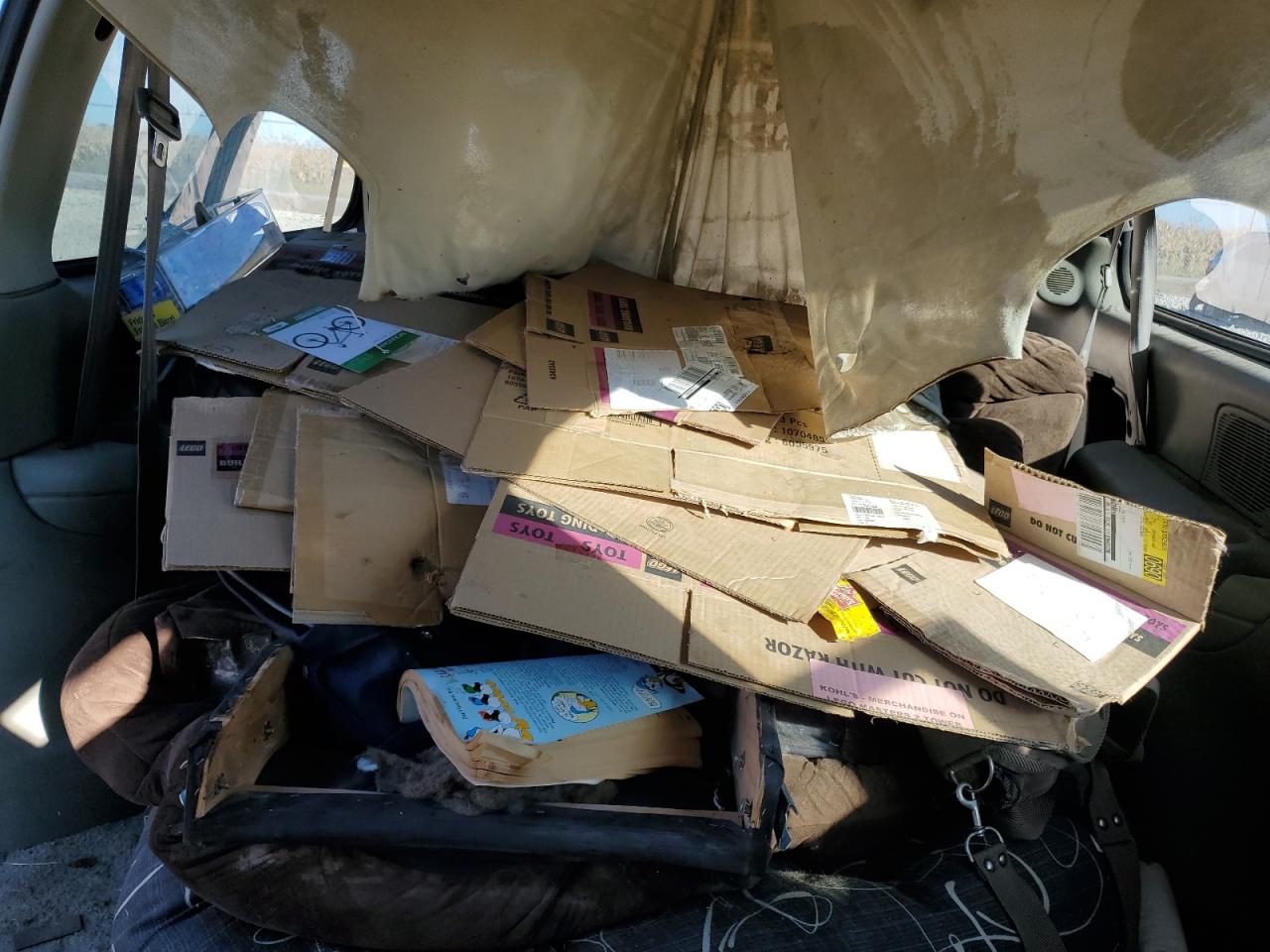 1996 Dodge Caravan VIN 2B4GP2432TR624190 Copart auction photo, side / front end damage thumbnail 10