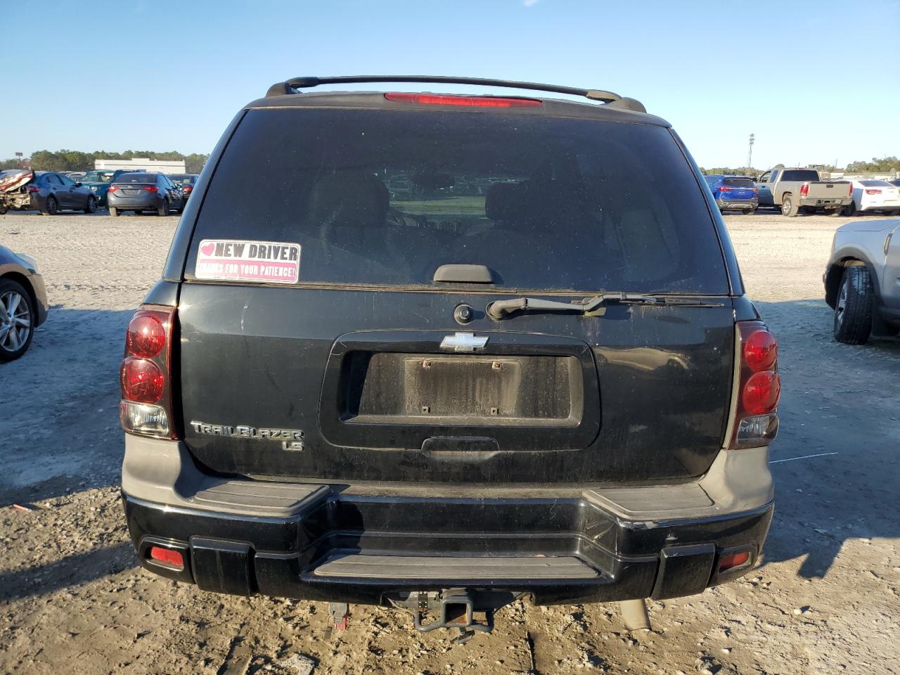 2005 Chevrolet TrailBlazer VIN 1GNDT13S452295618 Copart auction photo, side damage thumbnail 6