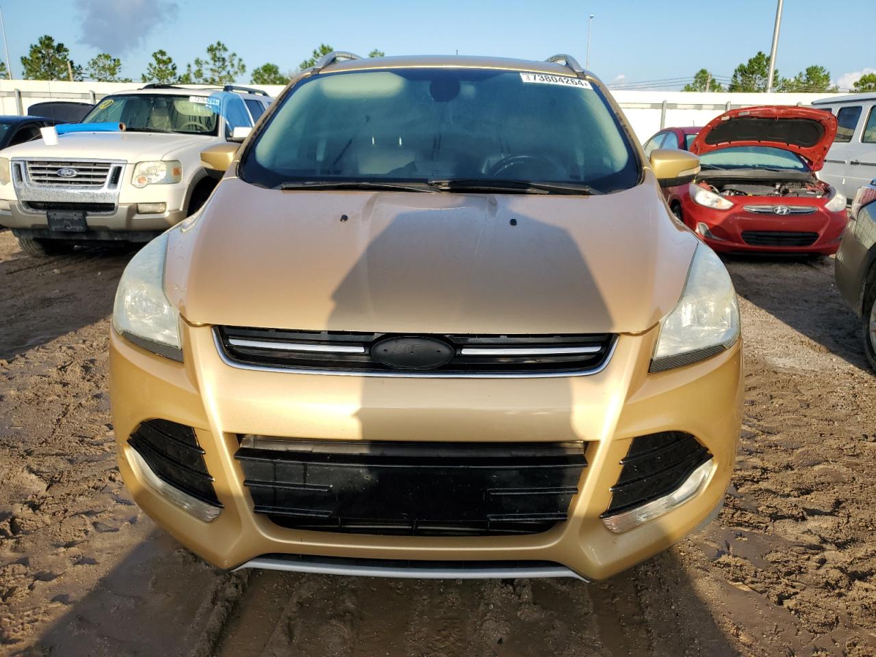 2014 Ford Escape VIN 1FMCU9J92EUD74396 Copart auction photo, water/flood damage thumbnail 5
