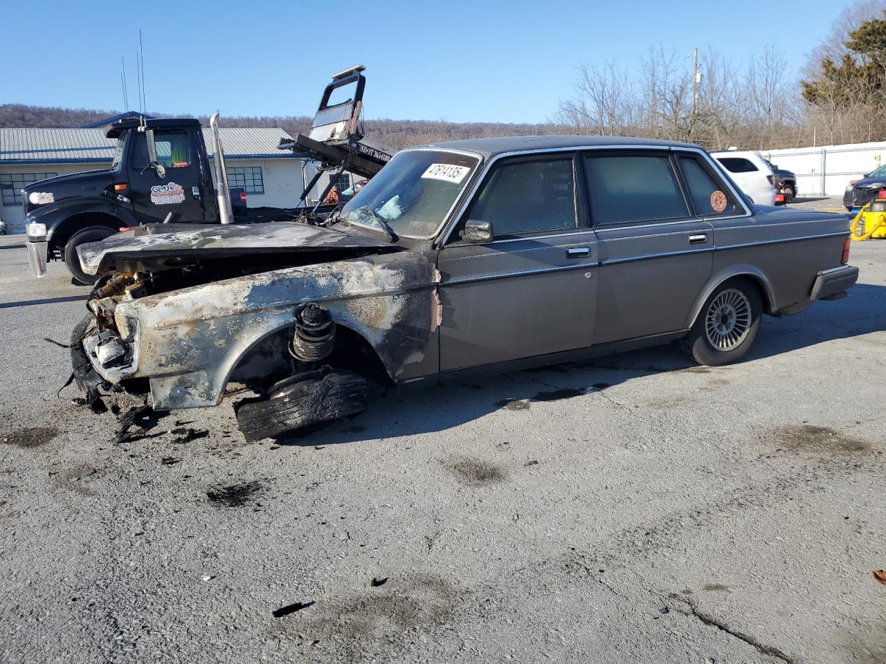 1985 Volvo 240 Series VIN YV1AX884XF1101503 - Copart auction photo