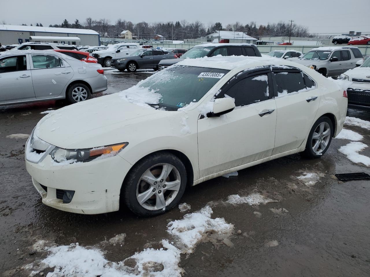 2009 Acura TSX VIN JH4CU26659C025222