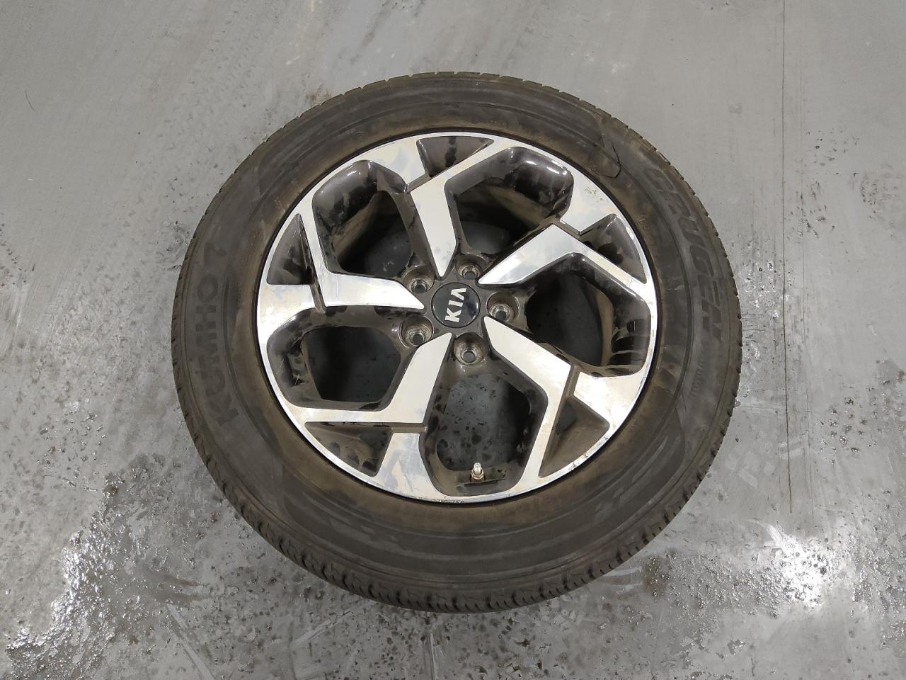 2022 KIA Sportage VIN KNDPMCACXN7994989 Copart auction photo, normal wear damage thumbnail 13