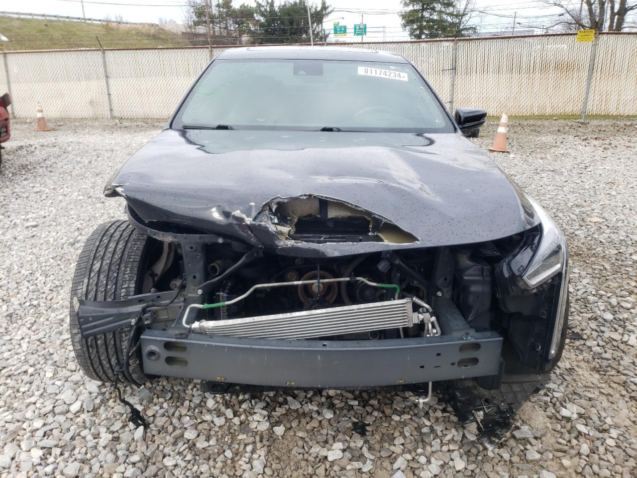 2019 Cadillac CT6 VIN 1G6KB5RS8KU135391 Copart auction photo, front end / side damage thumbnail 5