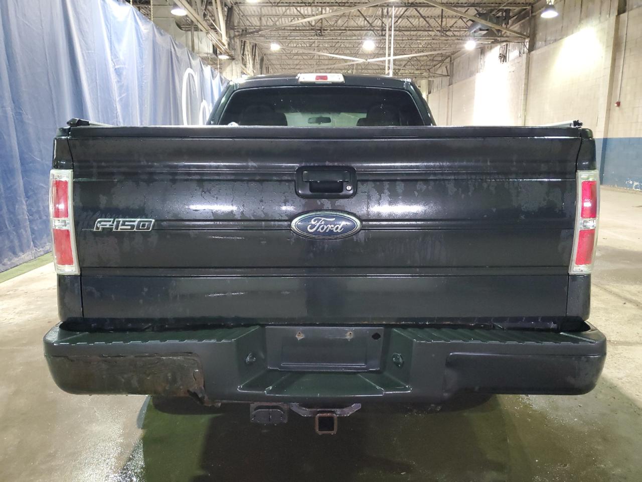 2010 Ford F-150 VIN 1FTEX1CW9AFB96204 Copart auction photo, mechanical / minor dent/scratches damage thumbnail 6