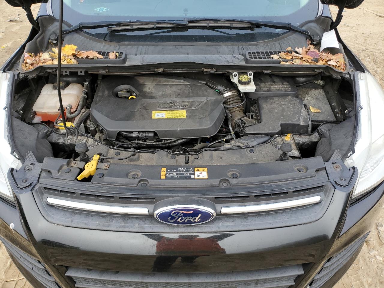 2014 Ford Escape VIN 1FMCU0GX2EUC97482 Copart auction photo, side / minor dent/scratches damage thumbnail 12