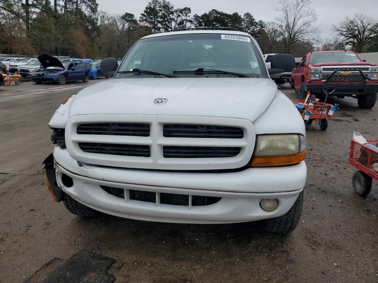 1999 Dodge Durango VIN 1B4HS28Z0XF711097 Copart auction photo, side damage thumbnail 5