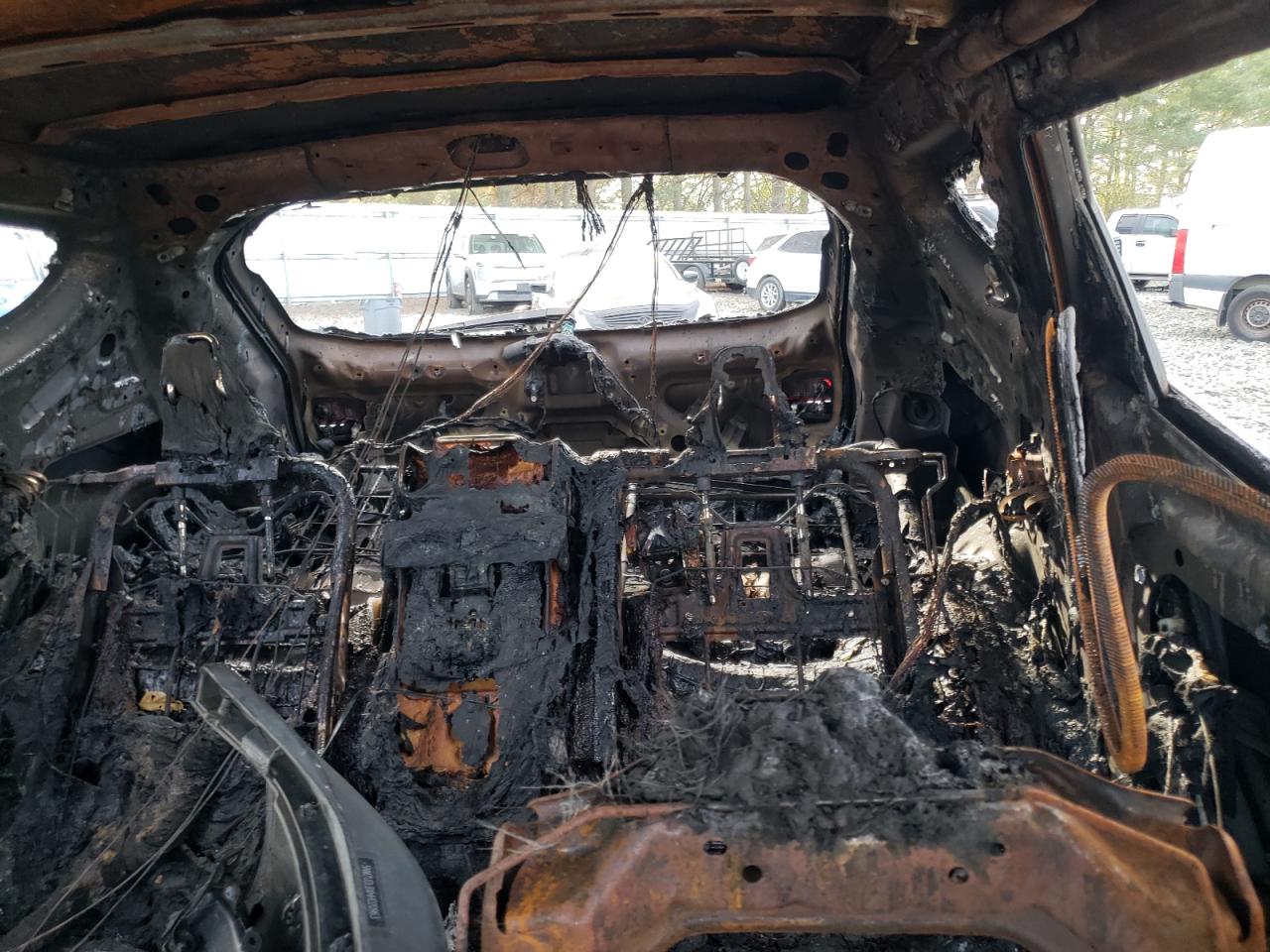 2017 Hyundai Santa Fe VIN 5NMZUDLBXHH020963 Copart auction photo, burn damage thumbnail 10
