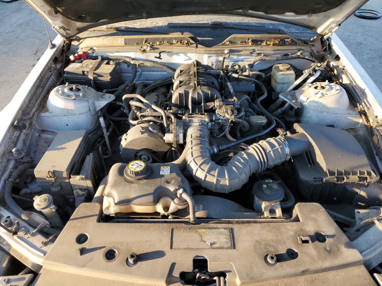 2005 Ford Mustang VIN 1ZVFT80NX55115868 Copart auction photo, mechanical damage thumbnail 11