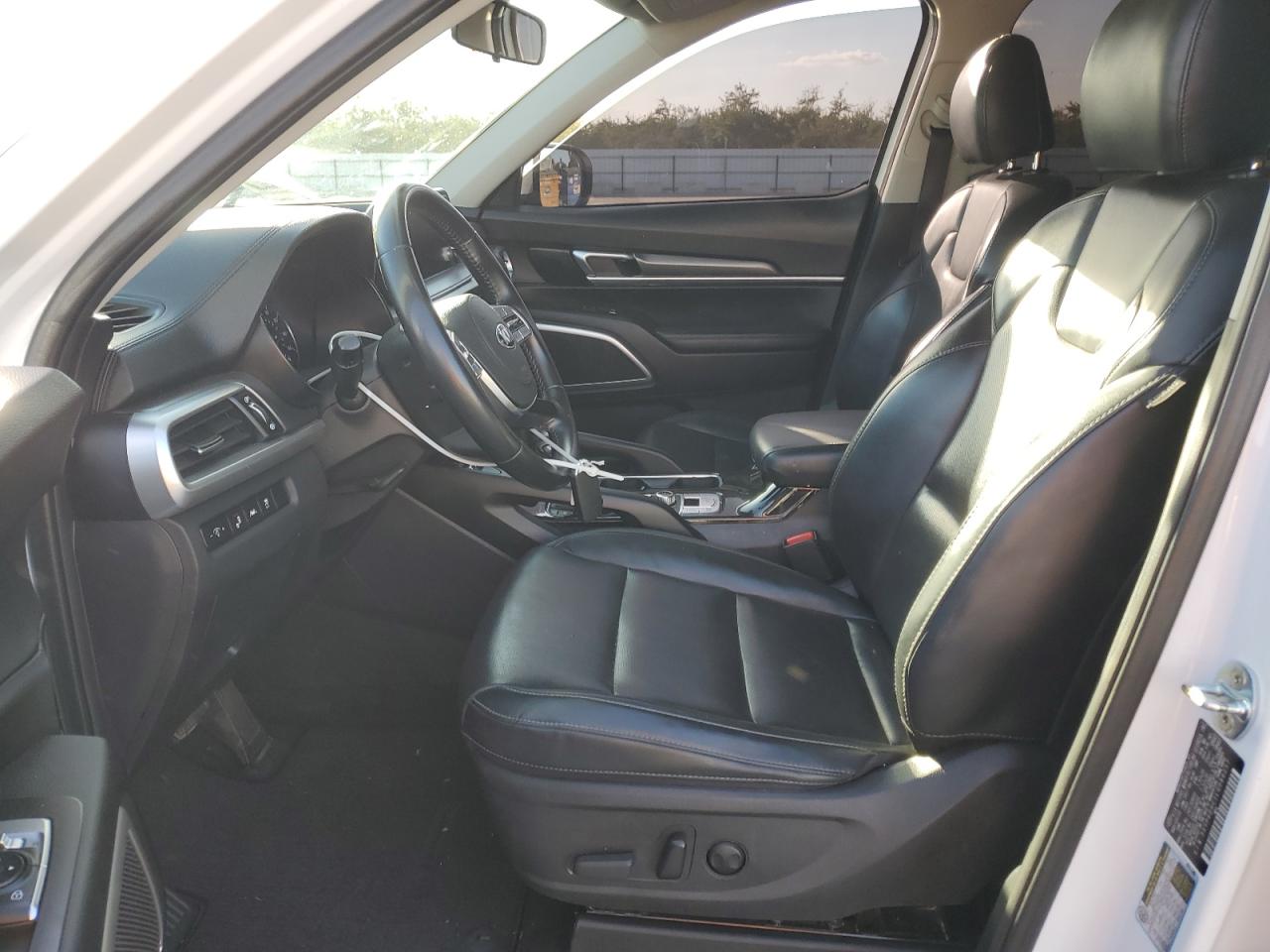 2020 KIA Telluride VIN 5XYP6DHC1LG086257 Copart auction photo, burn / undercarriage damage thumbnail 7