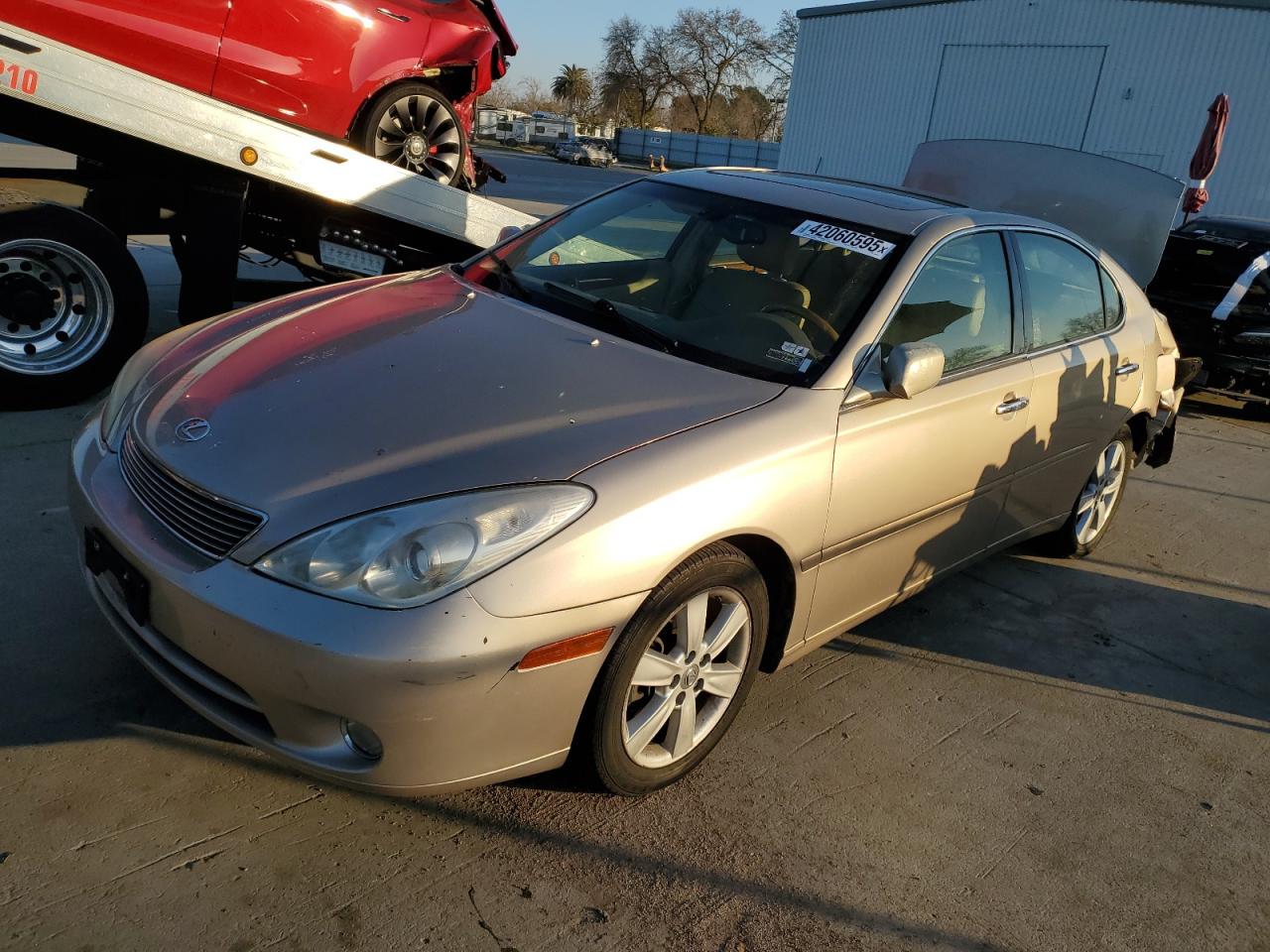 2005 Lexus ES VIN JTHBA30G855123316