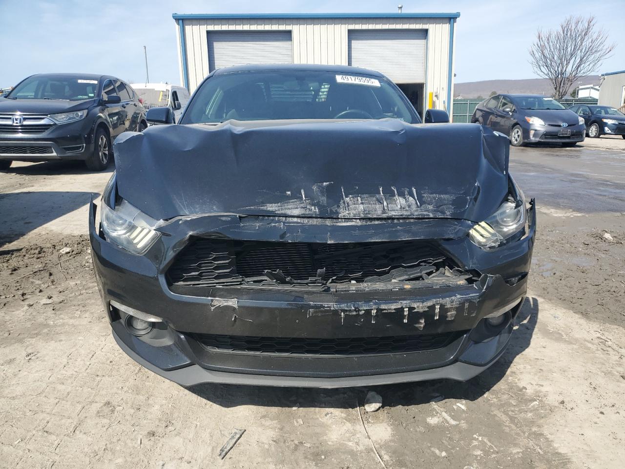 2017 Ford Mustang VIN 1FA6P8TH7H5304551 Copart auction photo, front end damage thumbnail 5