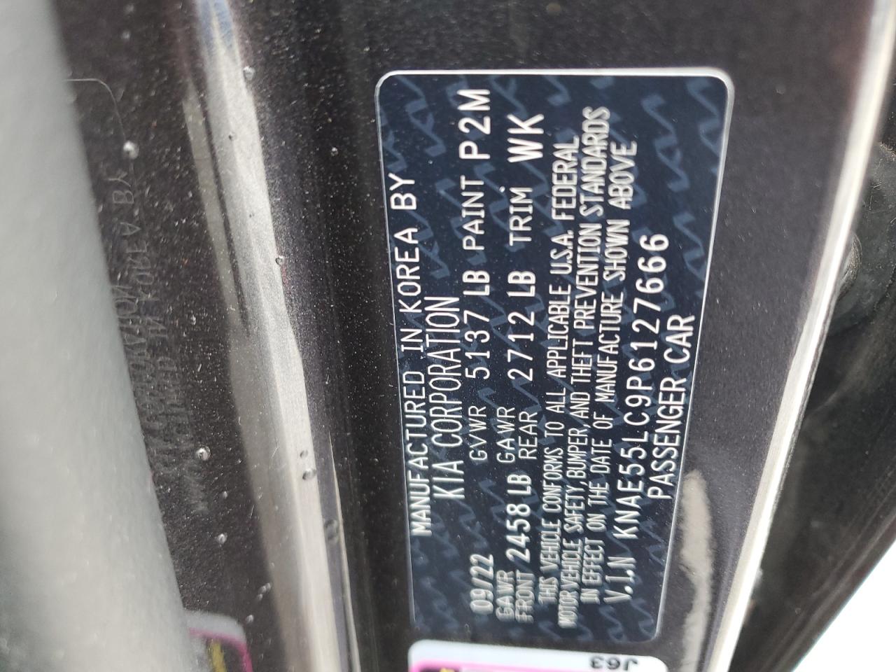 2023 KIA Stinger VIN KNAE55LC9P6127666 Copart auction photo, front end / rear end damage thumbnail 13
