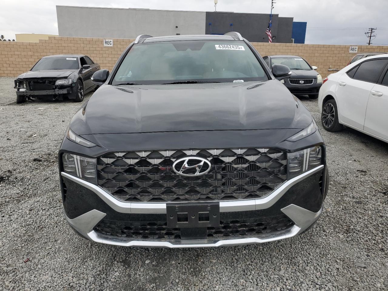 2023 Hyundai Santa Fe VIN 5NMS54AL8PH629638 Copart auction photo, side damage thumbnail 5
