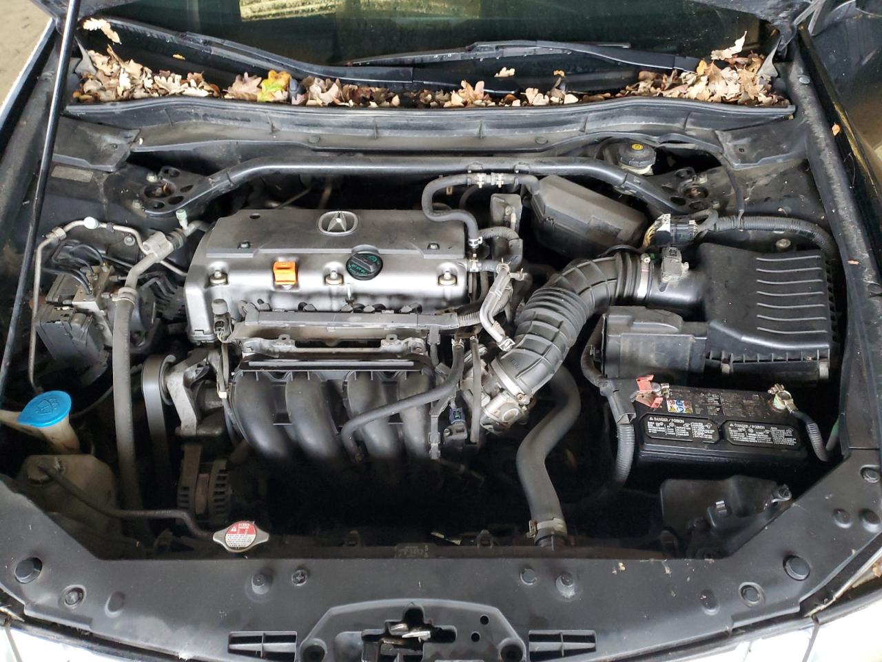 2009 Acura TSX VIN JH4CU26619C031051 Copart auction photo, water/flood damage thumbnail 11