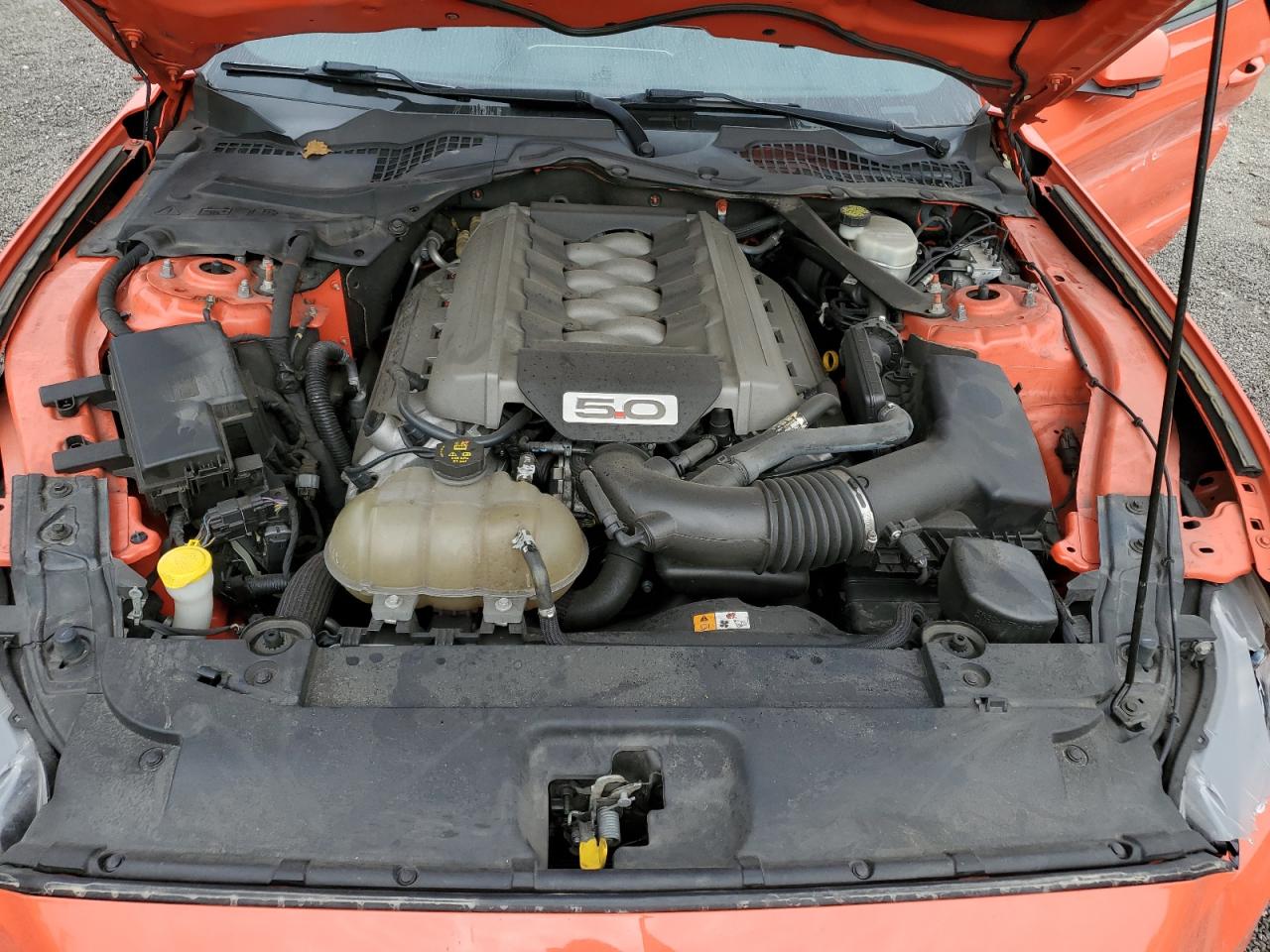 2016 Ford Mustang VIN 1FA6P8CF8G5255891 Copart auction photo, all over / undercarriage damage thumbnail 13