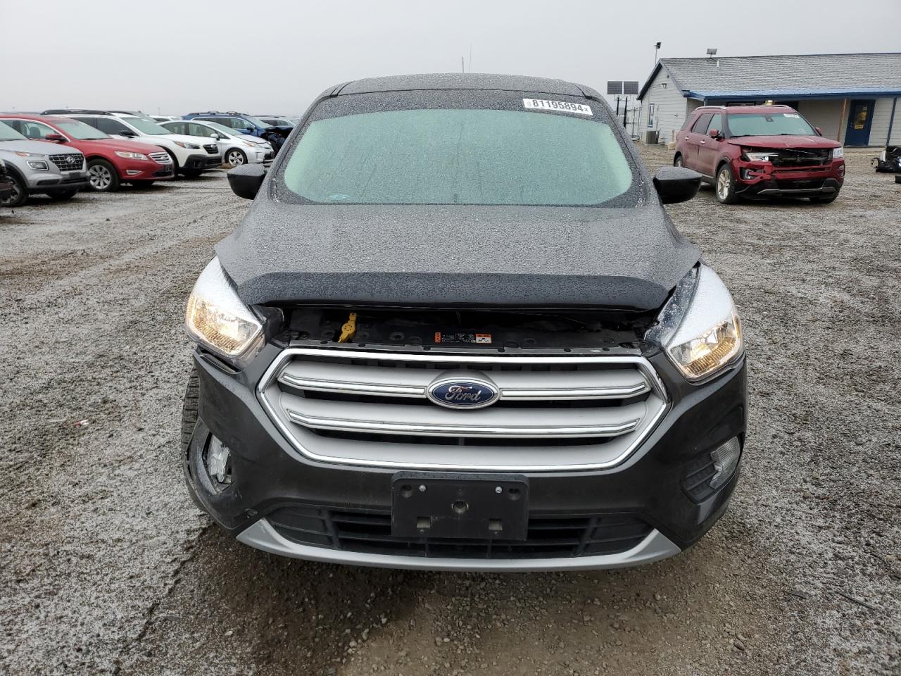 2019 Ford Escape VIN 1FMCU9GD9KUA21466 Copart auction photo, front end / minor dent/scratches damage thumbnail 5