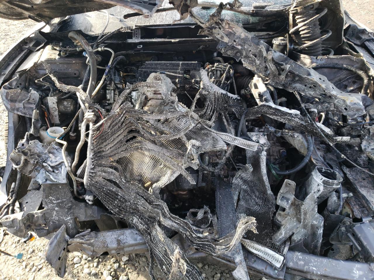 2014 Honda Accord VIN 1HGCR2F79EA032452 Copart auction photo, burn / top/roof damage thumbnail 13