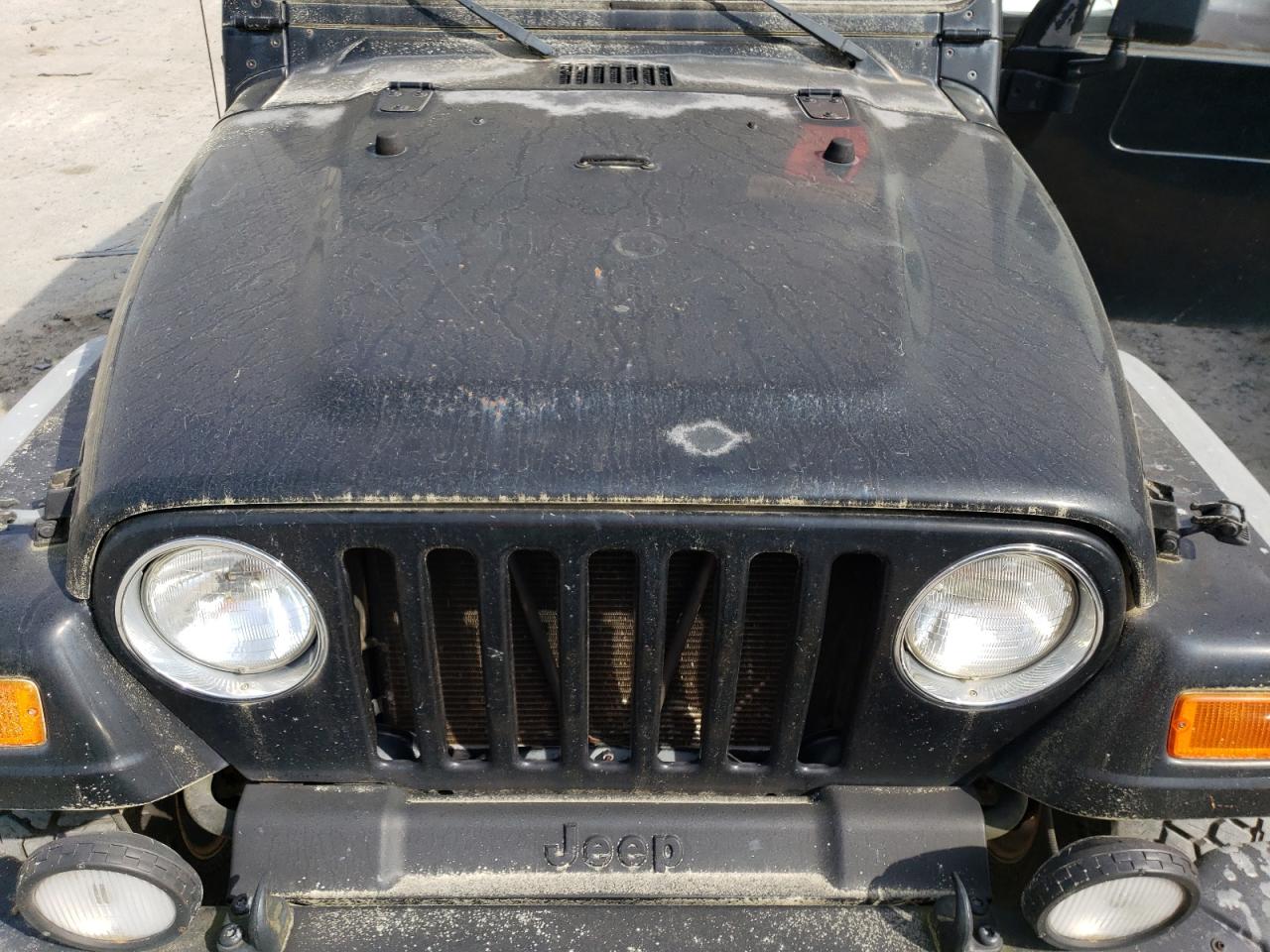 2000 Jeep Wrangler VIN 1J4FA49S9YP786493 Copart auction photo, rear end damage thumbnail 11