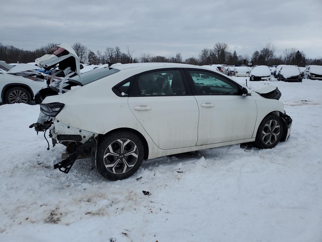 2019 KIA Forte VIN 3KPF24AD0KE103118 Copart auction photo, front end / rear end damage thumbnail 3