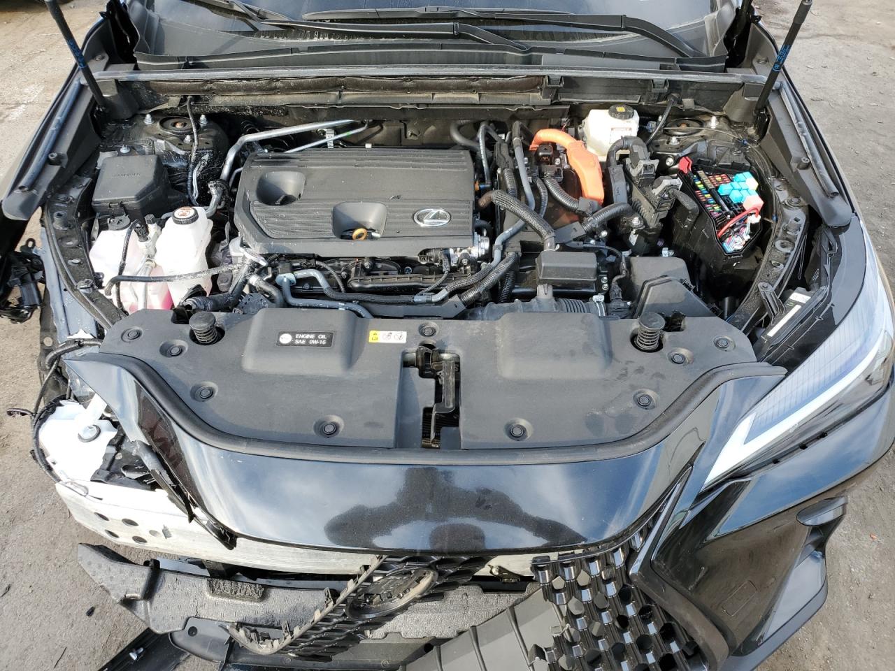 2024 Lexus NX VIN 2T2GKCEZ5RC021474 Copart auction photo, front end damage thumbnail 12